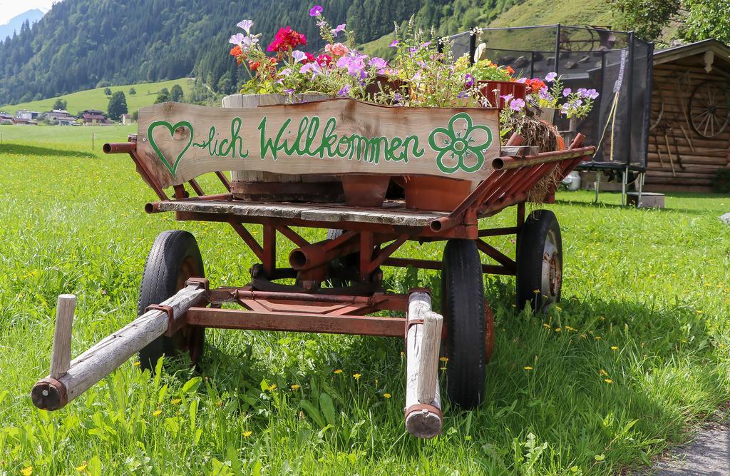 Obersinnlehenhof Maishofen Exteriér fotografie